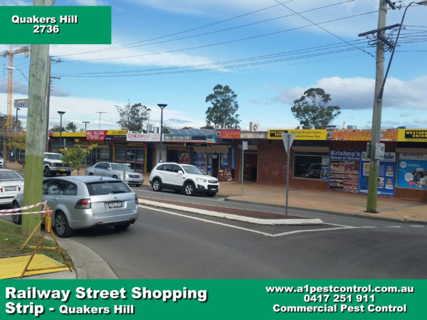 Picture of Railway Street Quakers Hill. Taken from nearby roundabout facing down the street.