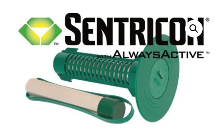 Sentricon Always Active Termite Baits - 0417 251 911