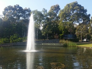 Bella vista water fountains