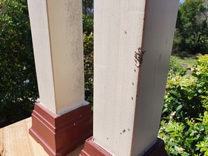 Pest Control Kellyville - ants feeding on bait on a post