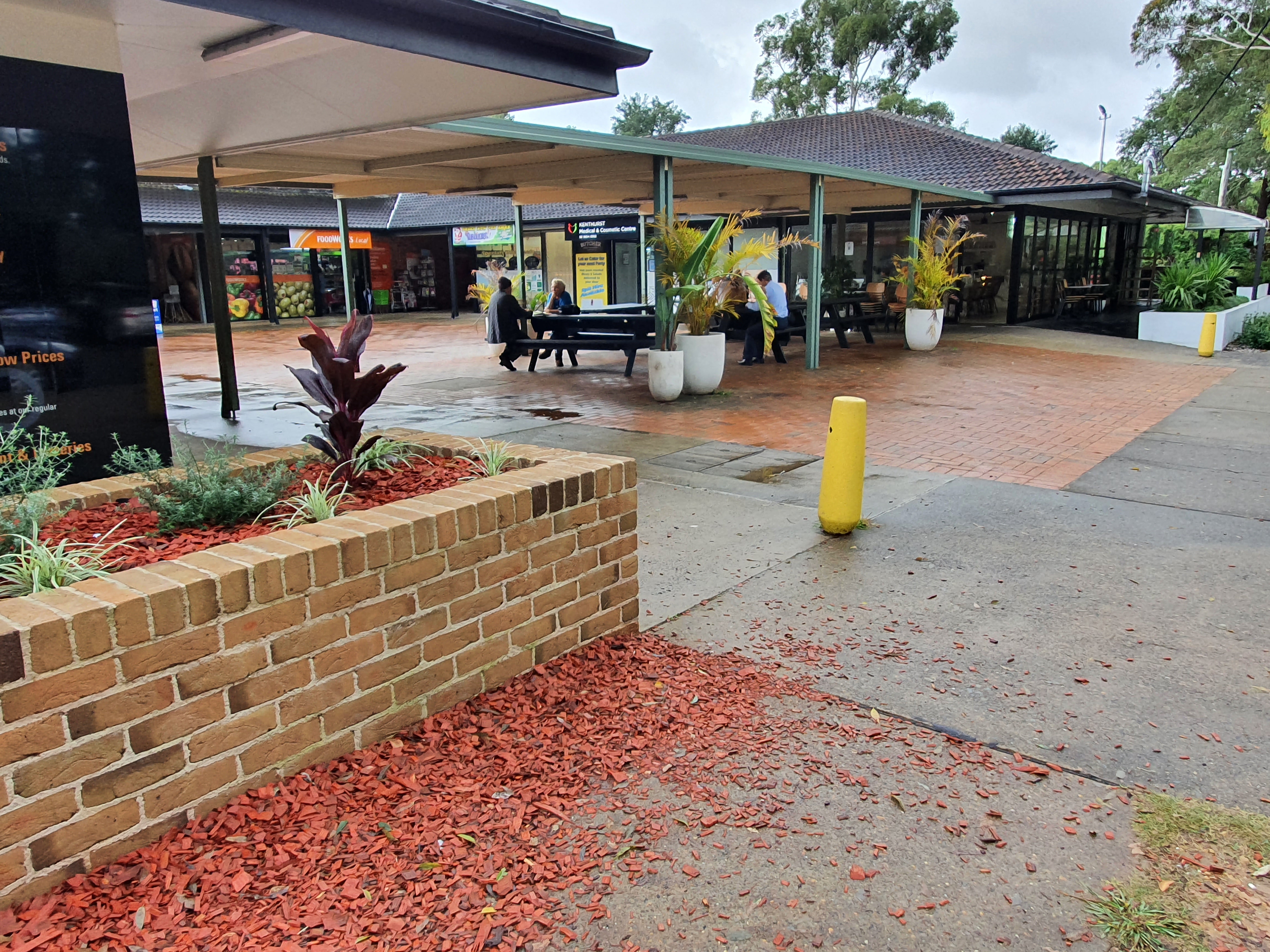 Rodent control in kenthurst