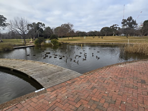 Eddison Park Pond