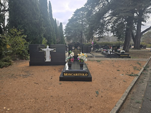 Moscaritolo Grave