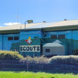 Albion Park Scout Group