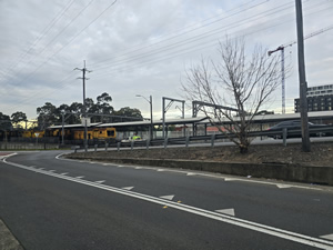 Ant Control Lidcombe