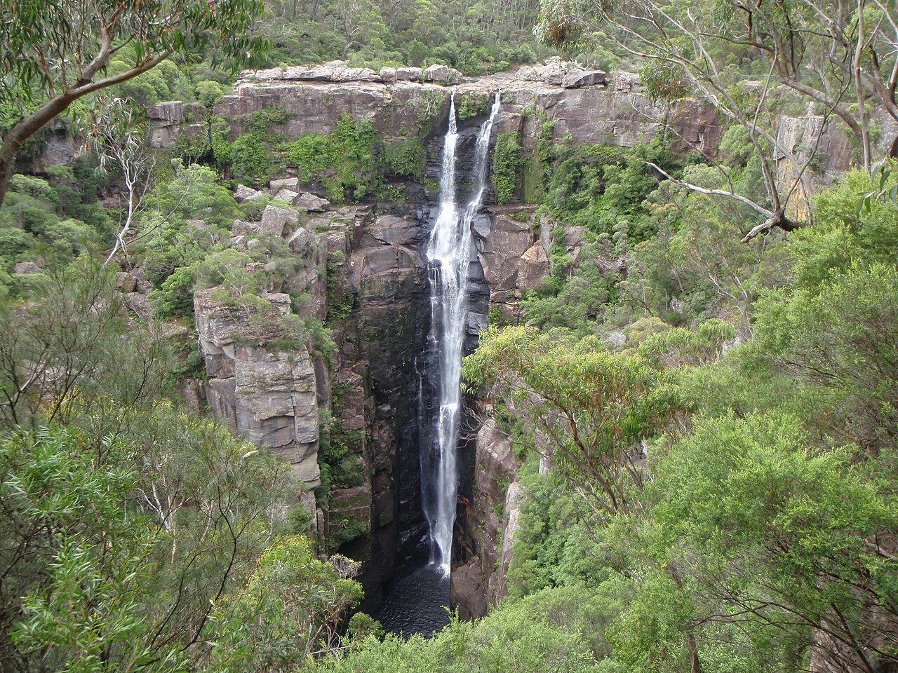 Welcome To Wollongong