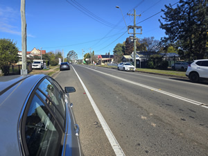 End of Lease Flea Treatment Wallacia