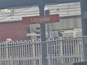 Mice Control Lidcombe