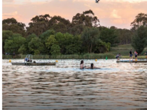 Summer in Yarralumla