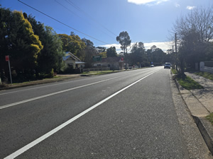 Termite Control Wallacia