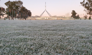 Winter Throsby ACT