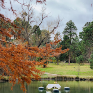 Yarralumla