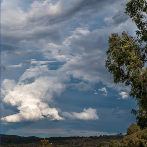 Calwell ACT